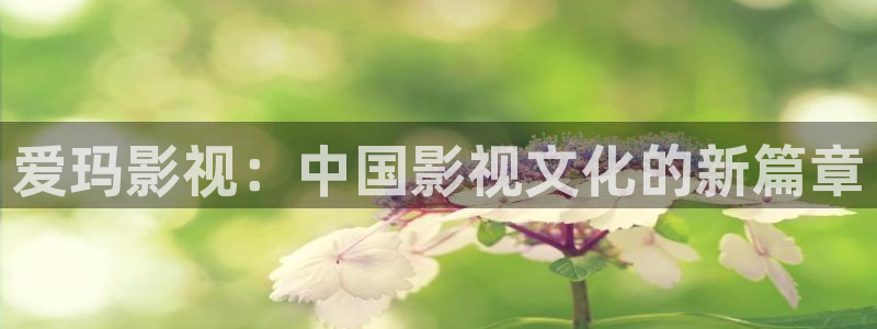小小影视官网2024：爱玛影视：中国影视文化的新篇章