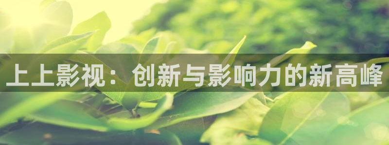 小小影视免费在线观看最新电影：上上影视：创新与影响力的新高峰