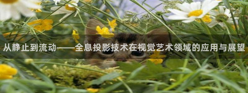 小小影视电影网下载：从静止到流动——全息投影技术在视觉艺术领域的应用与展望