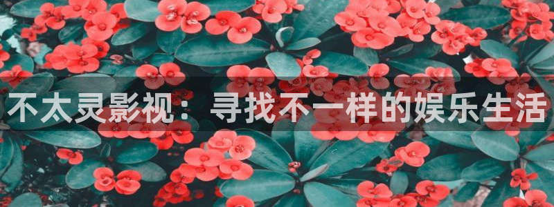 小小影视下载安装最新版本：不太灵影视：寻找不一样的娱乐生活