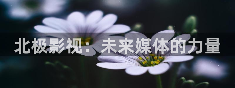 小小影视免费播放：北极影视：未来媒体的力量