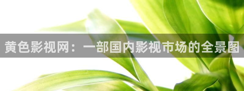 小小影视全网免费观看：黄色影视网：一部国内影视市场的全景图